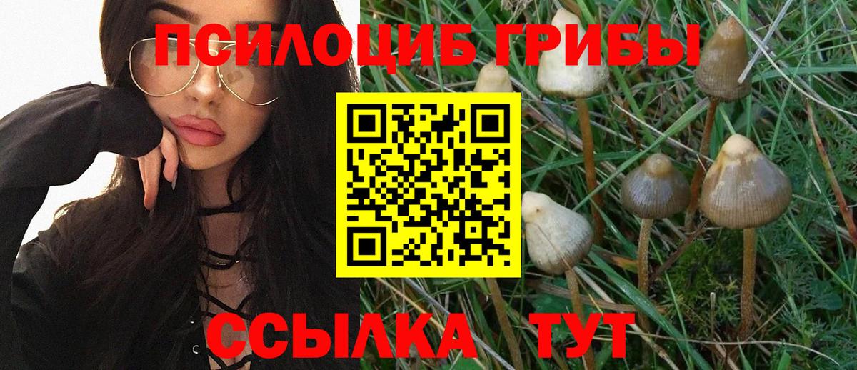 Екатеринбург  Псилоцибиновые грибы мухоморы  Галлюциногенные грибы Magic Shrooms  Вход с VPN 