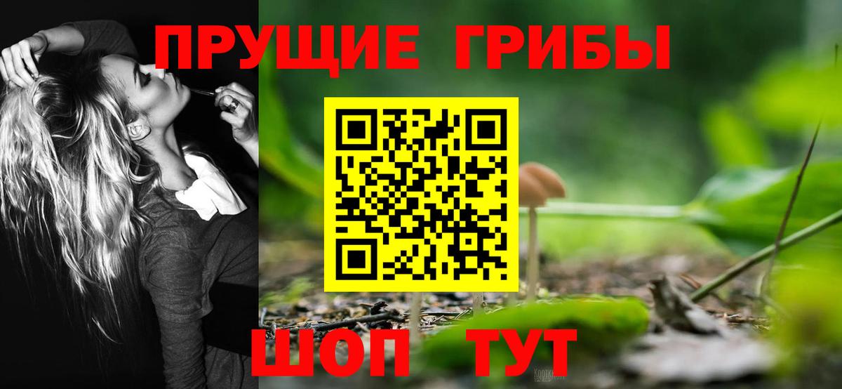 Галлюциногенные грибы прущие грибы Екатеринбург